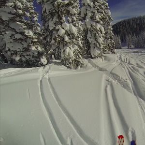 Meet your Posher, Nicholas